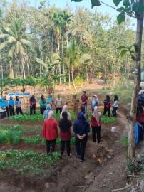 Penanaman Cabai, KWT Kanthil bersama Panewu dan PPL Pertanian